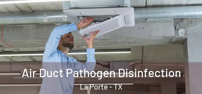  Air Duct Pathogen Disinfection La Porte - TX