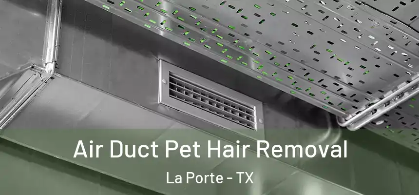 Air Duct Pet Hair Removal La Porte - TX