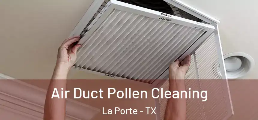  Air Duct Pollen Cleaning La Porte - TX