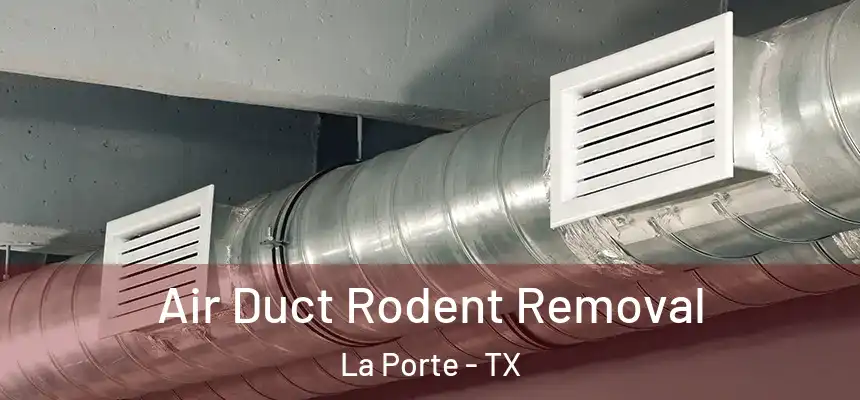  Air Duct Rodent Removal La Porte - TX