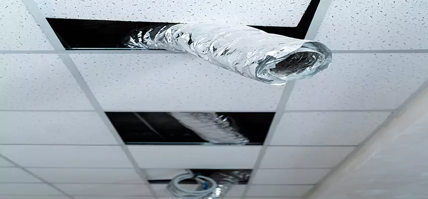 Affordable HVAC Sanitizing After Pest Removal in La Porte