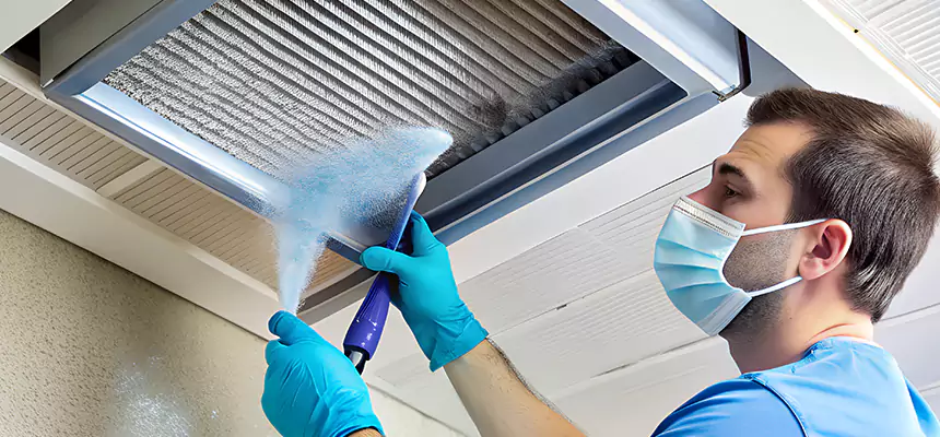 Proactive Dryer Vent & Auxiliary Duct Pollen Cleanup in La Porte, TX