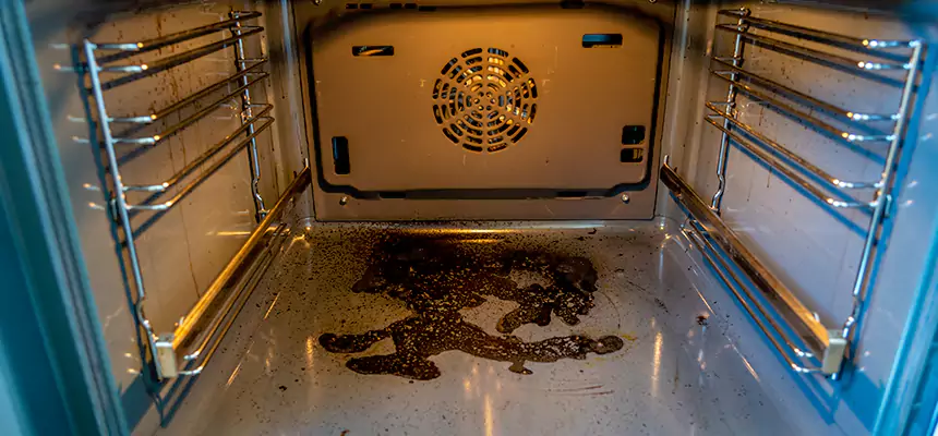 Our Dryer Vent Mold Cleaning Services in La Porte, TX