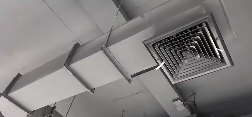 Our Pest Removal From Ducts Services in La Porte, TX