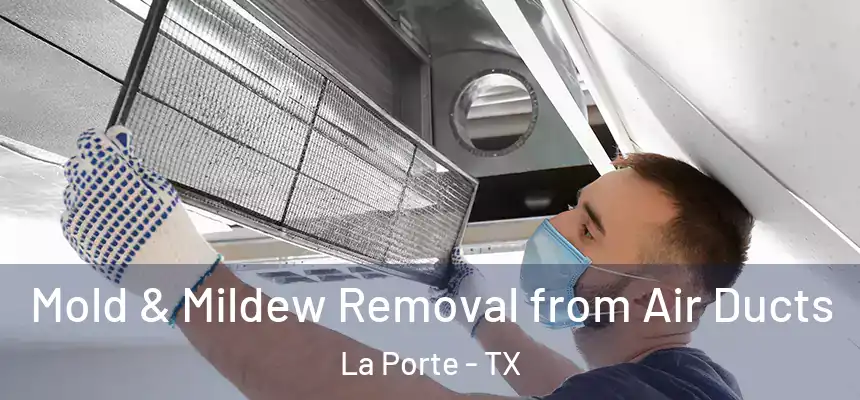  Mold & Mildew Removal from Air Ducts La Porte - TX