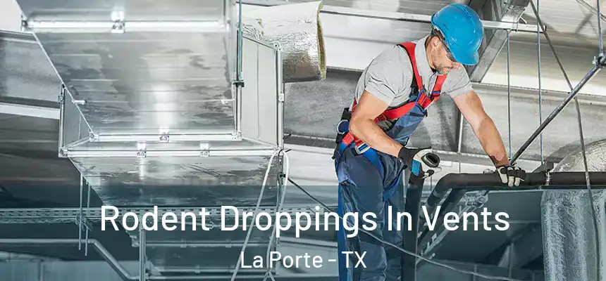  Rodent Droppings In Vents La Porte - TX