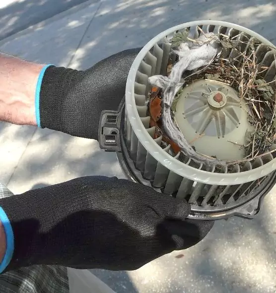 About Air Duct Mice Removal in La Porte, TX