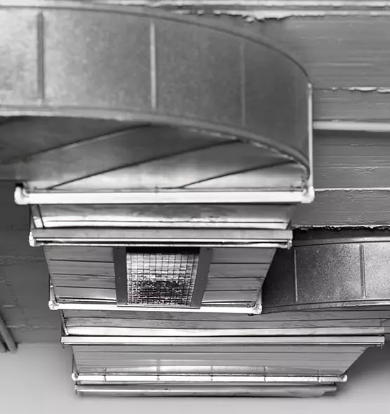 Professional Air Duct Pest Removal in La Porte, TX