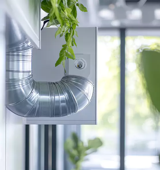 Professional Eco-Friendly Duct Cleaning Services in La Porte, TX