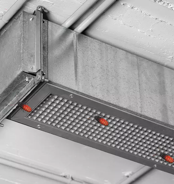 Affordable Insect Removal from Air Ducts in La Porte, TX